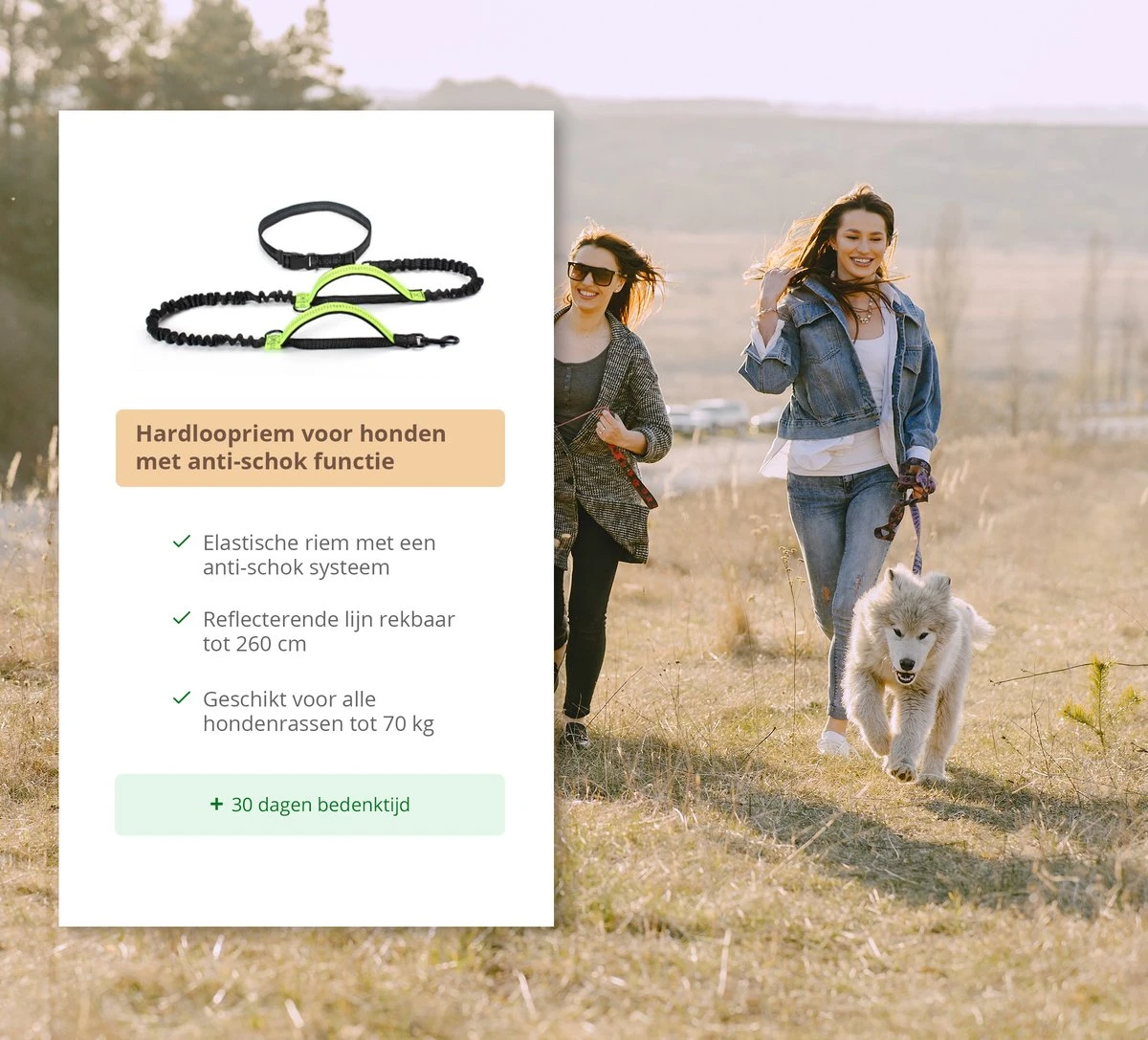 Hardloopriem Hond – Honden Riem Handsfree – Hardlopen Met Hond – 160-260 Cm Groen- Hardloopband Hond – Halsband Hond – Hondenlijn – Leiband Hond 10 Hardloopriem Hond – Honden Riem Handsfree – Hardlopen Met Hond – 160-260 Cm Groen- Hardloopband Hond – Halsband Hond – Hondenlijn – Leiband Hond - Afbeelding 8