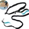 Hardloopriem Hond – Honden Riem Handsfree – Hardlopen Met Hond – 160-260 Cm Blauw - Hardloopband Hond – Halsband Hond – Hondenlijn – Leiband Hond -Honden Benodigdheden Verkoop 1200x1087 3