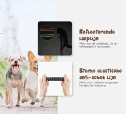 Hardloopriem Hond – Honden Riem Handsfree – Hardlopen Met Hond – 160-260 Cm Blauw - Hardloopband Hond – Halsband Hond – Hondenlijn – Leiband Hond -Honden Benodigdheden Verkoop 1200x1087 6