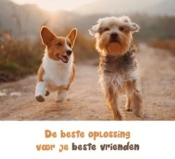 Dubbele Honden Riem – Leiband Hond – Hondenlijn – Looplijn Hond – 2 Honden – 3 Meter – Tot 12kg Per Hond – Reflecterende Lijnen – Met Zaklamp – 360° Draaien – Verstelbaar - Navy Blauw -Honden Benodigdheden Verkoop 1200x1087 9