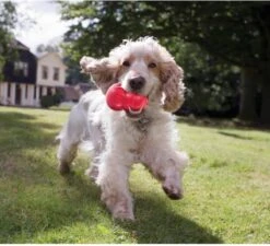 Kong Kauwbot - Hondenspeelgoed - Rood - M -Honden Benodigdheden Verkoop 1200x1092 6