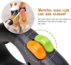 Dubbele Honden Riem – Leiband Hond – Hondenlijn – Looplijn Hond – 2 Honden – 3 Meter – Tot 12kg Per Hond – Reflecterende Lijnen – Met Zaklamp – 360° Draaien – Verstelbaar - Zwart 14 Dubbele Honden Riem – Leiband Hond – Hondenlijn – Looplijn Hond – 2 Honden – 3 Meter – Tot 12kg Per Hond – Reflecterende Lijnen – Met Zaklamp – 360° Draaien – Verstelbaar - Zwart -Honden Benodigdheden Verkoop 1200x1096 3