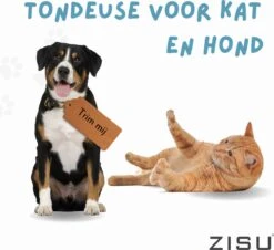 Hondentondeuse - Hondentrimmer - Dieren Tondeuse - Draadloos - 4 Opzetkammen - INCLUSIEF SNACKJE - Zwart -Honden Benodigdheden Verkoop 1200x1098 2