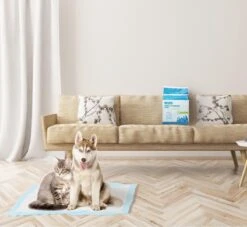 Nobleza 48DHD - Puppy Training Pads - 60 X 40 Cm - Zindelijkheidstraining - 50 Stuks 12 Nobleza 48DHD - Puppy Training Pads - 60 X 40 Cm - Zindelijkheidstraining - 50 Stuks -Honden Benodigdheden Verkoop 1200x1105 3