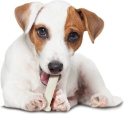 Nylabone Harde Bijters Kluif - Kip - Voor Honden Tot 30 Kg -Honden Benodigdheden Verkoop 1200x1107 8