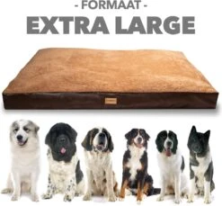 PrimePlus Hondenkussen XL Antraciet - 120x80x10 CM - Zacht En Luxe Hondenmand - Hondenbed - Hondenmat - Orthopedisch Hondenkussens -Honden Benodigdheden Verkoop 1200x1112 4