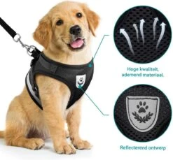 Hondentuig, Hondenharnas Met Hondenriem – Reflecterend - Zwart – Maat L (borst 40-45 Cm) 13 Hondentuig, Hondenharnas Met Hondenriem – Reflecterend - Zwart – Maat L (borst 40-45 Cm) -Honden Benodigdheden Verkoop 1200x1113 8
