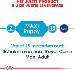 Royal Canin Maxi Puppy 4 KG -Honden Benodigdheden Verkoop 1200x1116