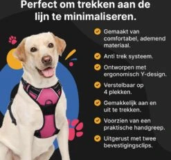 Hondentuig - Hondenharnas - Hondenriem - Anti Trek - Autogordel Hond - Zwart - Maat S -Honden Benodigdheden Verkoop 1200x1116 7