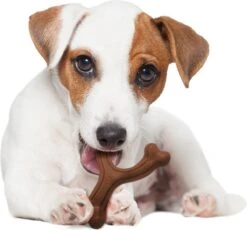 Nylabone Extreme Kauwbot Vorkbeen - Voor De Krachtigste Kauwers - Bizon Of Kipsmaak - S/M/L - Smaak: Bizon, Maat: Large -Honden Benodigdheden Verkoop 1200x1117 11