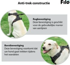 Filo Anti Trek Hondentuig S Met Hondenriem - Y Tuig Hond Verstelbaar - Hondentuigje Kleine Hond + Hondenlijn - Easy Walk Hondenharnas - Hondentuigjes - Leiband - Honden Tuigje - Puppy - Tuig - Hond -Honden Benodigdheden Verkoop 1200x1117 9