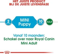 Royal Canin Shn Mini Puppy Pouch - Hondennatvoer - 12 X 85 G 29 Royal Canin Shn Mini Puppy Pouch - Hondennatvoer - 12 X 85 G -Honden Benodigdheden Verkoop 1200x1118