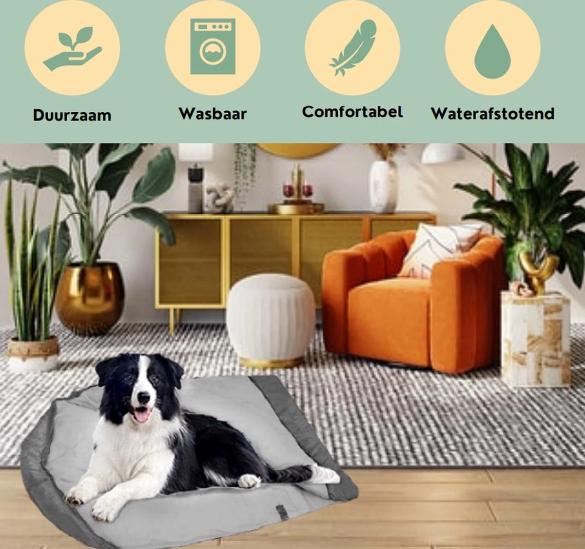 Bolobo | Hondenslaapzak - Dierenslaapzak - Hondencave - Hondenmand Cave - Cozy Cave - Slaapzak Hond - Hondenmand - Hondenkussen - Travelbag - Dentalsticks - Kampeerslaapzak 4 Bolobo | Hondenslaapzak - Dierenslaapzak - Hondencave - Hondenmand Cave - Cozy Cave - Slaapzak Hond - Hondenmand - Hondenkussen - Travelbag - Dentalsticks - Kampeerslaapzak - Afbeelding 2