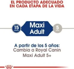 Royal Canin Maxi Adult 5+ Jaar Oud - Hondenvoer - 15 Kg -Honden Benodigdheden Verkoop 1200x1127 2
