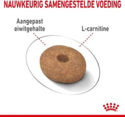 Royal Canin Mini Light 8 KG -Honden Benodigdheden Verkoop 1200x1128 1