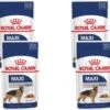 Royal Canin Shn Maxi Adult Pouch - Hondenvoer - 4 X 10 X 140 G -Honden Benodigdheden Verkoop 1200x1128 2