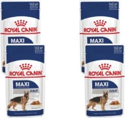 Royal Canin Shn Maxi Adult Pouch - Hondenvoer - 4 X 10 X 140 G