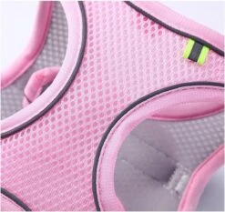 Hondentuigje Voor Kleine Puppy's & Kleine Honden - Blauw - Maat M -Honden Benodigdheden Verkoop 1200x1130 6