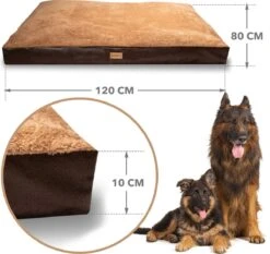 PrimePlus Hondenkussen XL Bruin/Cognac - 120x80x10 CM - Zacht En Luxe Hondenmand - Hondenbed - Hondenmat - Orthopedisch Hondenkussens -Honden Benodigdheden Verkoop 1200x1134 10