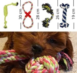 (Goedkoopste) Honden Speelgoed Set 15 Stuks Geschikt Voor Puppy's T/m Middelgrote Honden - Honden Kauw Speelgoed - 15 Stuks - Hondenspeeltjes - Intelligentie - Touw - Flostouw - Bijtring - Bal - Huisdieren Speelgoed 17 (Goedkoopste) Honden Speelgoed Set 15 Stuks Geschikt Voor Puppy's T/m Middelgrote Honden - Honden Kauw Speelgoed - 15 Stuks - Hondenspeeltjes - Intelligentie - Touw - Flostouw - Bijtring - Bal - Huisdieren Speelgoed -Honden Benodigdheden Verkoop 1200x1135 13