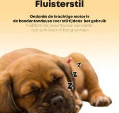 Hondentondeuse Professioneel - 2 In 1 - Honden & Katten - Hondentrimmer - Dikke & Dunne Vacht -Honden Benodigdheden Verkoop 1200x1136 7