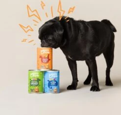 Edgard & Cooper Lam & Rund Blik - Voor Volwassen Honden - Hondenvoer - 12 X 400g 14 Edgard & Cooper Lam & Rund Blik - Voor Volwassen Honden - Hondenvoer - 12 X 400g -Honden Benodigdheden Verkoop 1200x1138 1