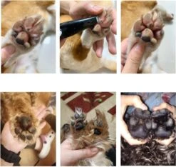 Merkloos Premium Tondeuse Voor Honden Of Katten - Dierentondeuse Oplaadbaar - Ook Bij Tenen, Ogen & Oren - Draadloze Haartrimmer 16 Merkloos Premium Tondeuse Voor Honden Of Katten - Dierentondeuse Oplaadbaar - Ook Bij Tenen, Ogen & Oren - Draadloze Haartrimmer -Honden Benodigdheden Verkoop 1200x1139 1