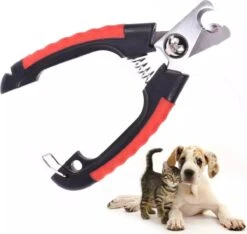 Merkloos Nagelknipper - Nagelknipper Dieren - Geschikt Voor Hond Kat Konijn Cavia Vogel - Dieren Nagelknipper - Nagels Knippen 7 Merkloos Nagelknipper - Nagelknipper Dieren - Geschikt Voor Hond Kat Konijn Cavia Vogel - Dieren Nagelknipper - Nagels Knippen -Honden Benodigdheden Verkoop 1200x1139 2