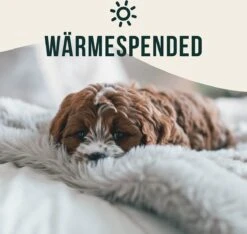 Happilax Fluffy Hondendeken Voor Auto & Bank, Wasbare Hondenmat Voor Op Reis, Grijs, L 12 Happilax Fluffy Hondendeken Voor Auto & Bank, Wasbare Hondenmat Voor Op Reis, Grijs, L -Honden Benodigdheden Verkoop 1200x1139 7