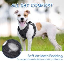 Nobleza 42ZHX - Hondenharnas - Hondentuigje - Anti Trek - M - Zwart -Honden Benodigdheden Verkoop 1200x1141 10