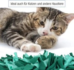 Bella & Balu Snuffelmat Voor Honden (45 X 30 Cm) - Het Snuffelmatten Dient Als Interactief Zoekspel, Bevordert Het Natuurlijk Zoeken Naar Voedsel En Traint De Reukzin Van Uw Hond (Groen) -Honden Benodigdheden Verkoop 1200x1142 16