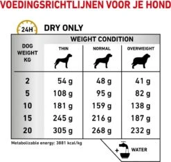 Royal Canin Hond Urinary SO 13 Kg - 22 Royal Canin Hond Urinary SO 13 Kg - -Honden Benodigdheden Verkoop 1200x1142