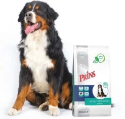 Prins Procare Croque Dieet Gewichtscontrole&Diabetes Gevogelte - - 10 Kg -Honden Benodigdheden Verkoop 1200x1143