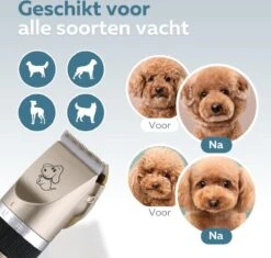 BYER Professionele Dieren Tondeuse Set - Voor Huisdieren Katten & Honden - Draadloos - Oplaadbare Pet Trimmer - Dog Tondeuze Clipper - 5 Standen & Vier Opzetkammen - Low Noise -Honden Benodigdheden Verkoop 1200x1144 2
