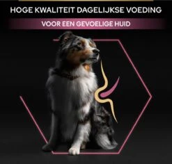 Pro Plan Medium Adult Sensitive Skin - Honden Droogvoer - Zalm - 14 Kg 29 Pro Plan Medium Adult Sensitive Skin - Honden Droogvoer - Zalm - 14 Kg -Honden Benodigdheden Verkoop 1200x1146 2
