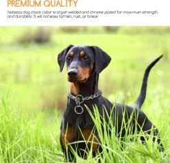 Nobleza Slipketting Hond - Sliphalsband - Trainingshalsband - Hondenketting - Maat L -Honden Benodigdheden Verkoop 1200x1146 21