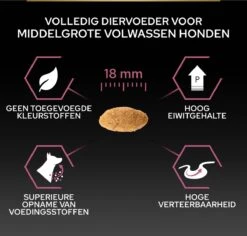 Pro Plan Medium Adult Sensitive Skin - Honden Droogvoer - Zalm - 14 Kg 26 Pro Plan Medium Adult Sensitive Skin - Honden Droogvoer - Zalm - 14 Kg -Honden Benodigdheden Verkoop 1200x1146
