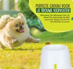 VEDIC® - Automatische Ballenwerper - Hondenspeelgoed - Ballenschieter Voor Honden 13 VEDIC® - Automatische Ballenwerper - Hondenspeelgoed - Ballenschieter Voor Honden -Honden Benodigdheden Verkoop 1200x1146 28