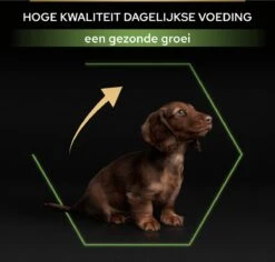 Pro Plan Healthy Start Puppy Small & Mini - Honden Droogvoer - Kip - 3 Kg -Honden Benodigdheden Verkoop 1200x1146 6