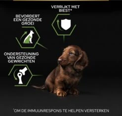 Pro Plan Healthy Start Puppy Small & Mini - Honden Droogvoer - Kip - 3 Kg -Honden Benodigdheden Verkoop 1200x1146 7