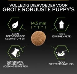 Pro Plan Healthy Start Puppy Large Robust - Honden Droogvoer - Kip - 12 Kg -Honden Benodigdheden Verkoop 1200x1146 8