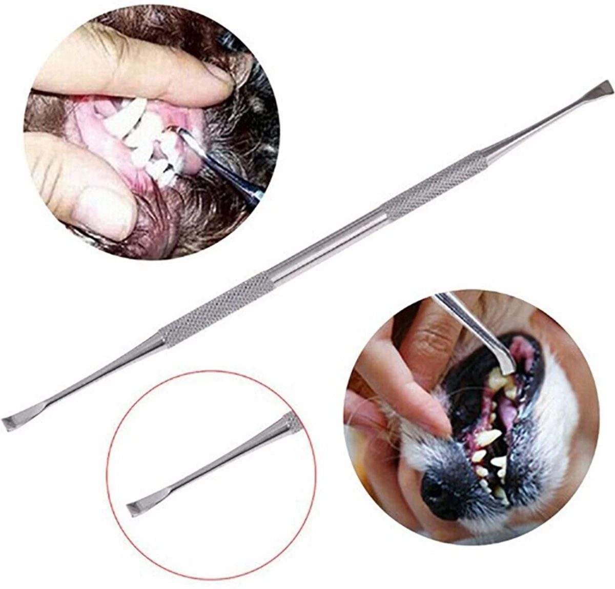 Pro3000 Ultra Q Tandsteen Verwijderaar Hond - Set Van 2 - Tandplak 4 Pro3000 Ultra Q Tandsteen Verwijderaar Hond - Set Van 2 - Tandplak - Afbeelding 2