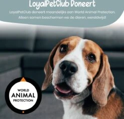 Loyalpetclub® Professionele 2-in-1 Hondentondeuse Voor Dikke Vacht – Draadloze Honden Tondeuse & Hondentrimmer – Stille Tondeuse Katten & Honden Trimset - Inclusief Opbergtasje -Honden Benodigdheden Verkoop 1200x1148 2
