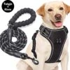 Filo Anti Trek Hondentuig L Met Hondenriem - Y Tuig Hond - Easy Walk Hondenharnas Large + Hondenlijn - Hondentuigje Verstelbaar - Leiband - Honden Tuigje - Riem -Honden Benodigdheden Verkoop 1200x1152 9