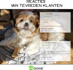 Doxie® Hondenspeelgoed – Speelgoed Hond – Snuffelmat – Antislip – Wasbaar – ⌀ 50 Cm – Lichtgrijs Met Wit -Honden Benodigdheden Verkoop 1200x1153 25