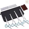 Professionele Hondenscharen Set - Extra Veilige Grooming Set - Trimscharen Voor Honden - Knipschaar - Effileerschaar / Uitdunschaar - Gebogen Schaar Met Ronde Punt - Precisieschaar - Hondenverzorging - Inclusief Kam, 2 Haarclips En Luxe Opbergdoos -Honden Benodigdheden Verkoop 1200x1154 1