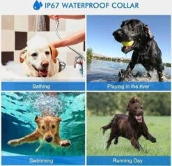 Anti Blafband EN Trainingshalsband In 1 - UNIEK SYSTEEM - 1000m Bereik - 100 Levels -Honden Benodigdheden Verkoop 1200x1154 2