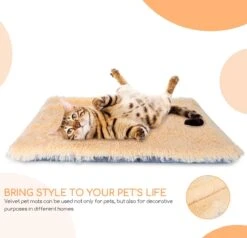 Nobleza Fluffy Benchkussen - Dierenkussen - Hondenkussen - Kattenkussen - Benchmat - Dierenmat - Hondenmat - Kattenmat - Crème - Maat L -Honden Benodigdheden Verkoop 1200x1156 8