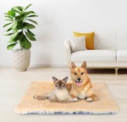 Nobleza Fluffy Benchkussen - Dierenkussen - Hondenkussen - Kattenkussen - Benchmat - Dierenmat - Hondenmat - Kattenmat - Crème - Maat L -Honden Benodigdheden Verkoop 1200x1156 9