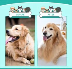 Nobleza 3 Delige Hondenborstel Set – Hondenkam - Kattenkam - Borstels – Dierverzorging - Dierenverzorging - Blauw -Honden Benodigdheden Verkoop 1200x1157 2